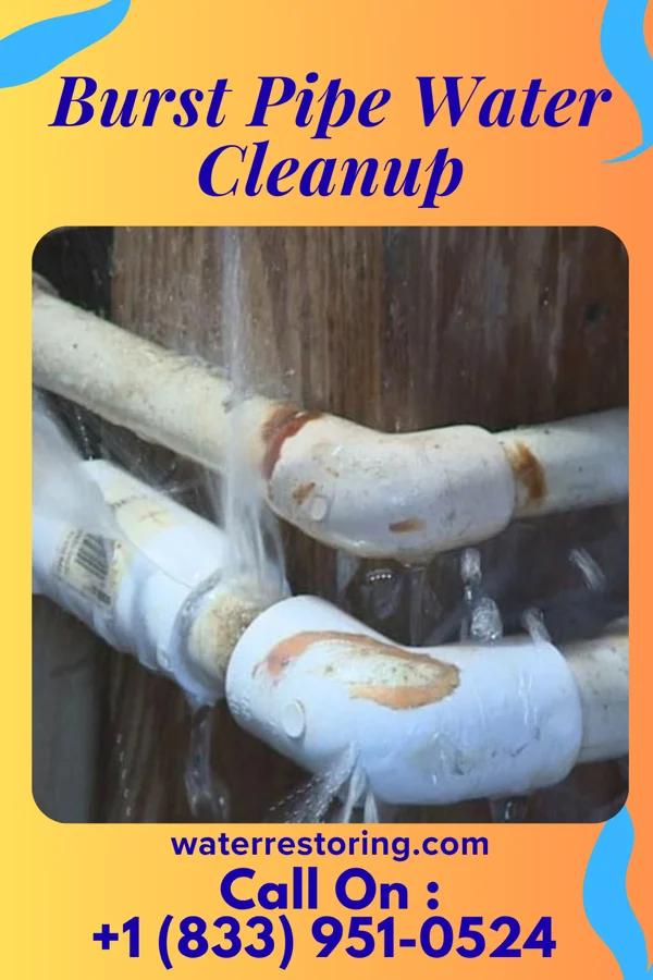 Burst Pipe Water Cleanup in Waco, NC