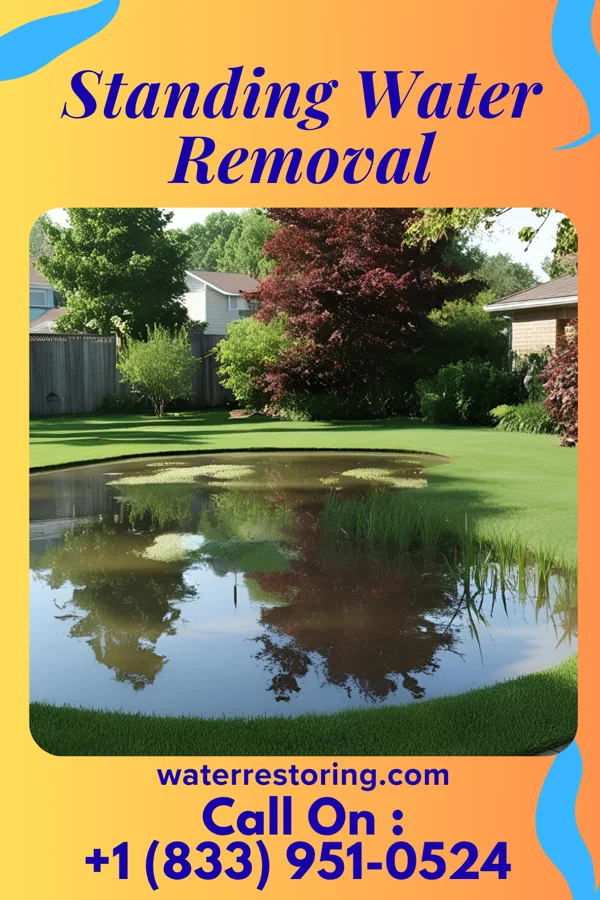 Standing Water Removal in Waco, NC